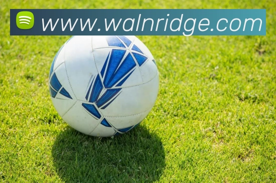 AOA官方网页版APP 体育赛事宣传图